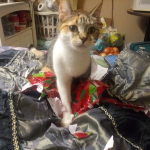 Meet your Posher, Cei